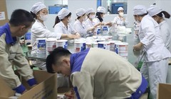 Vụ 573 nhãn hiệu sữa giả: Ông chủ đường dây "chạy án" 150.000 USD, gặp phải kẻ lừa đảo