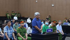 Vụ thất thoát hơn 730 tỷ đồng từ khai thác đất hiếm: Cựu Thứ trưởng Bộ TNMT được đề nghị án treo