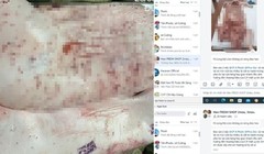 Vụ tố bán thịt heo bệnh ra thị trường: Công ty C.P. Việt Nam nói gì?