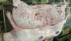 Vụ Công ty C.P. Việt Nam bị tố bán thịt heo bệnh: Đề nghị Bộ Công an vào cuộc điều tra