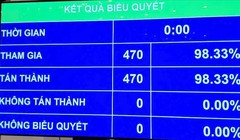Quốc hội chính thức thông qua sửa Hiến pháp, đánh dấu thời khắc lịch sử