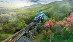 Bắt đầu xây dựng tuyến đường sắt Lào Cai – Hà Nội – Hải Phòng từ năm 2025