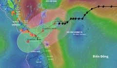 Thủ tướng: Tập trung ứng phó bão số 12 và mưa lũ lớn ở Trung Trung Bộ