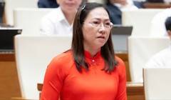 Đại biểu Quốc hội đề nghị luật hóa Công ước Hà Nội càng sớm càng tốt