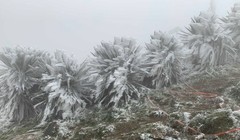 Miền Bắc rét tăng cường, có nơi 10 độ C, miền Trung mưa lớn