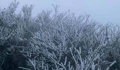 Miền Bắc rét đậm, vùng núi cao có nơi chỉ hơn 3 độ C