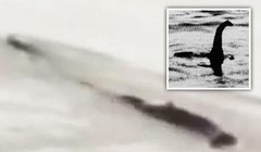 Sinh vật được cho là "quái vật đập Tam Hiệp". Ảnh: Getty