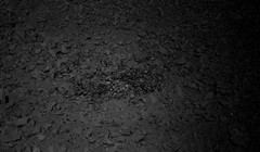 Phát hiện vật chất kỳ lạ sáng lấp lánh ở Mặt Trăng. Ảnh: In