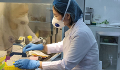 Xét nghiệm COVID-19. Ảnh: HCDC