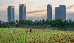 Ông bố kể chuyện tìm thấy nơi ở “định mệnh” cho cả gia đình sau một lần đi lạc