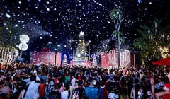 Sắc màu Noel lung linh trong chuỗi sự kiện lễ hội quy mô ở Long An