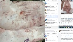 Sóc Trăng lập đoàn kiểm tra các điểm chăn nuôi, gồm C.P. Việt Nam sau tố cáo trên Facebook