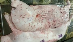 Nóng: Hình ảnh 'tố' heo bệnh tại C.P. Việt Nam là thật, được chụp tại cơ sở gia công