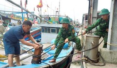 Thủ tướng yêu cầu khẩn trương triển khai ứng phó khẩn cấp với bão số 3