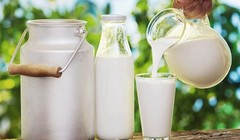 Pha sữa bột rồi tiệt trùng... gọi là "sữa tiệt trùng" khiến người dân khó nhận diện