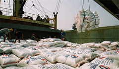 Về khả năng Thái Lan, Việt Nam cấp 500.000 tấn gạo cho Philippines