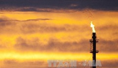 Giá dầu thô đạt mức cao nhất kể từ đầu năm 2015