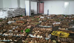 Số ngà voi lậu bị Hải quan Singapore tịch thu - Ảnh: Hải quan Singapore