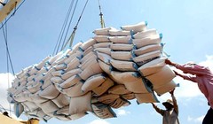 VFA điều chỉnh giá sàn gạo xuất khẩu
