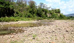 Hàng nghìn hécta cây trồng chờ chết vì hạn