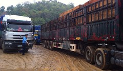 Xe chở gỗ quá tải bị chặn bắt ở Nghệ An