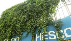 Dự án Hesco Văn Quán vang bóng một thời là đây!