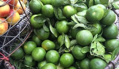 Mỗi ngày có gần 100 tấn cam xanh Trung Quốc được nhập về qua cửa khẩu Tân Thanh