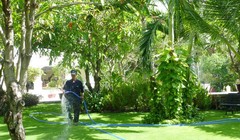 Chủ đầu tư các resort thường dành nhiều diện tích để cho cây xanh, cảnh quan và than phiền là không công bằng nếu tiền thuê đất của diện tích này được tính bằng với diện tích xây dựng, kinh doanh - Ảnh: Đào Loan