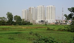 Bộ Tài chính đề xuất mở rộng miễn thuế sử dụng đất nông nghiệp