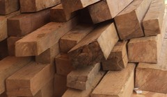 Huyện xin công an tỉnh trả gỗ cho “lâm tặc”