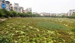 Hà Nội mất 7,2 ha mặt hồ trong 5 năm