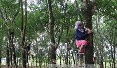 Các đại biểu quốc hội lo ngại về tình trạng đất nông, lâm trường sử dụng không hiệu quả - Ảnh: TTXVN