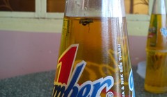 Vụ con ruồi giá "2000 tỷ đồng" của Tân Hiệp Phát: Tuyên ông Minh 7 năm tù