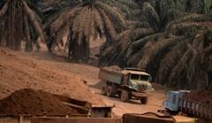 Khu vực khai thác quặng bauxite tại khu đất của nông dân Surin Beris trước đây từng trồng cây cọ - Ảnh: AFP