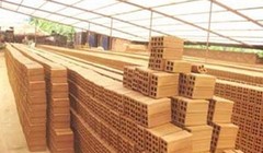 Thưởng Tết bằng ...gạch, quần đùi