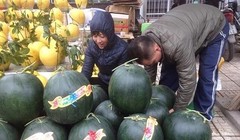 Dưa khổng lồ đổ bộ về Hà Nội ngày cận Tết