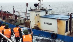 Tàu Trung Quốc mang số hiệu 13056 chở 100.000 lít dầu không có nguồn gốc xuất xứ bị lực lượng chức năng bắt giữ. Ảnh: BĐBP