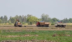 Mặt ruộng đang bị “xẻ thịt”