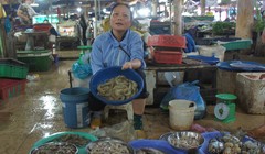 Hà Tĩnh: Hàm lượng kim loại nặng trong hải sản ở ngưỡng cho phép
