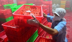 Vụ Vietfoods: QLTT nói doanh nghiệp “cứ vơ vào mình rồi nói tại này, tại kia“