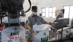 Đạm Hà Bắc lỗ gần 700 tỷ chỉ trong 1 năm