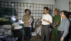 Lãnh đạo các ngành y tế, nông nghiệp ở Quảng Trị kiểm tra lô cá nục bị nhiễm phenol chiều 11-6 - Ảnh: Quốc Nam