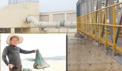 Hệ thống xả thải của Formosa (ảnh lớn); Người dân vùng biển Hà Tĩnh đau lòng vì cá chết (ảnh chụp ngày 26/4).