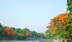 Hồ Tam Bạc - hồ trung tâm, biểu tượng của Hải Phòng - bị đem cho thuê. Ảnh Internet