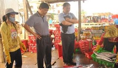 Trương lái Trung Quốc đến tận nơi thu mua cá Việt Nam