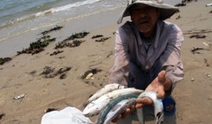 Ảnh minh họa. Nguồn Internet