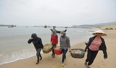 Ảnh minh họa. Nguồn Internet