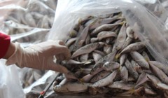 Ảnh minh họa. Nguồn Internet