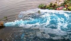 Ảnh minh họa. Nguồn: Internet