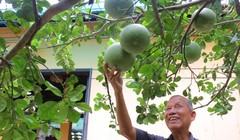 Nguyên Phó thủ tướng Trương Vĩnh Trọng. Ảnh Vnexpress